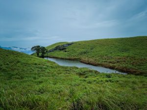 wayanad-honeymoon-destination