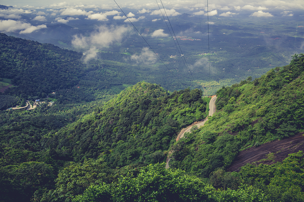 Natural landscape of Wayanad