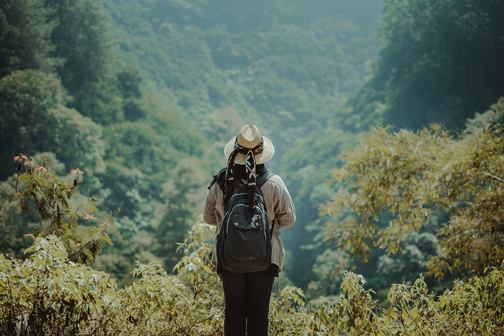 Wildlife adventure in natural forest setting