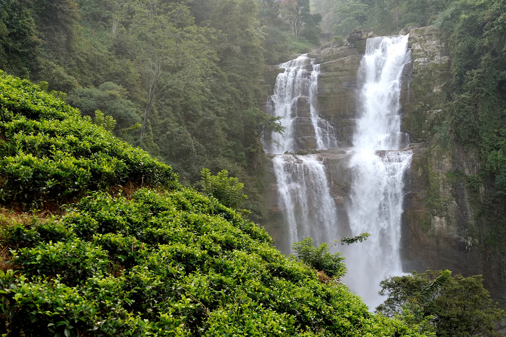 Scenic view of lush green Vagamon Hill Station in Kerala