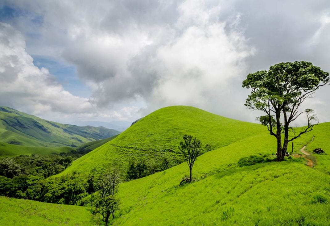 05-Day Coorg Wayanad Tour Package